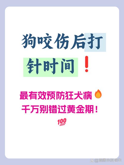 狂犬病一年后安全了吗