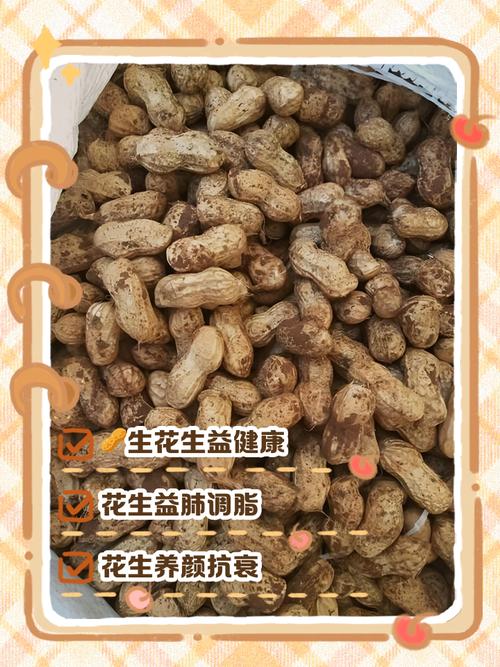 尿酸高痛风能吃花生吗