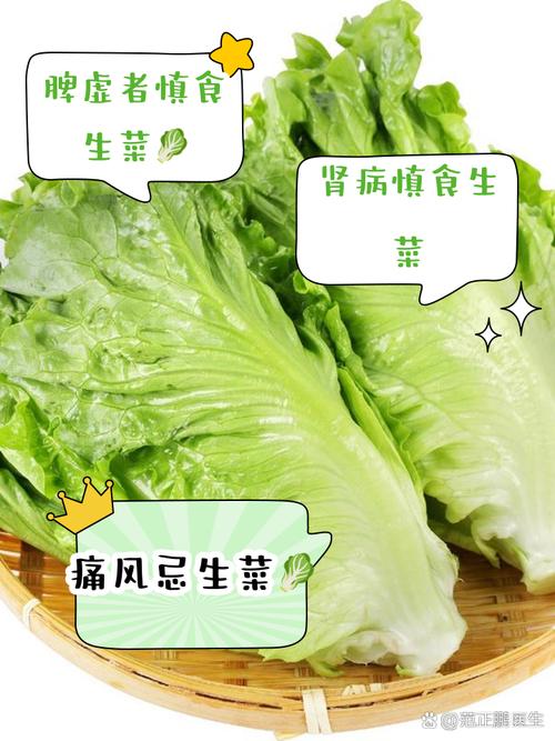 生菜痛风病人可以吃吗