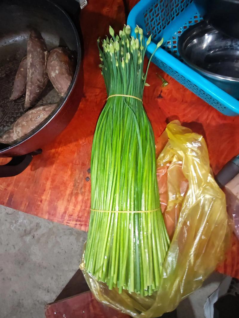 韭菜花痛风的人能吃吗