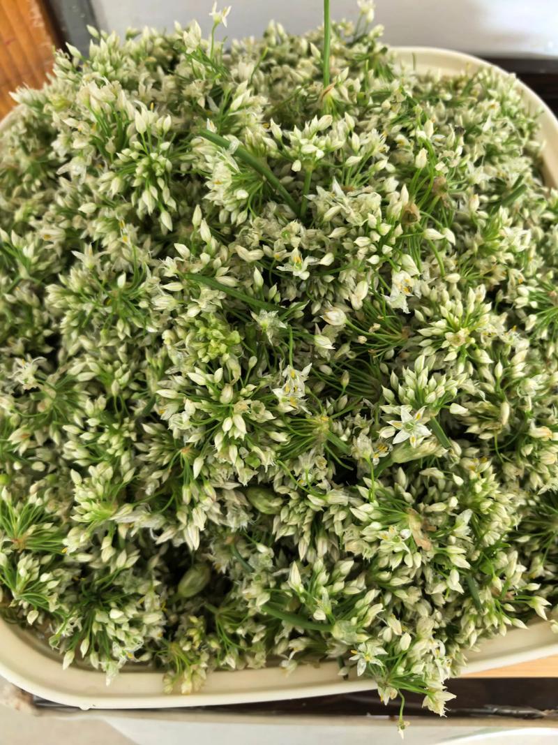 韭菜花痛风的人能吃吗