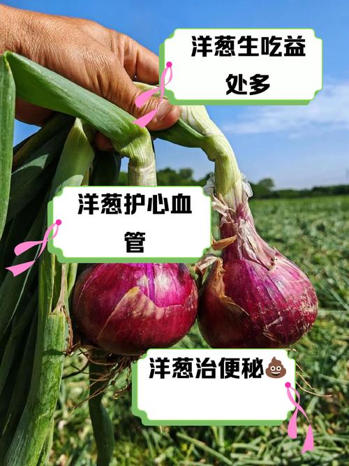 痛风病人可以吃洋葱吗