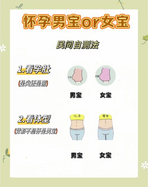 安全期怀孕一般是男孩