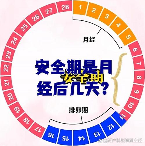 例假前六天是安全期吗