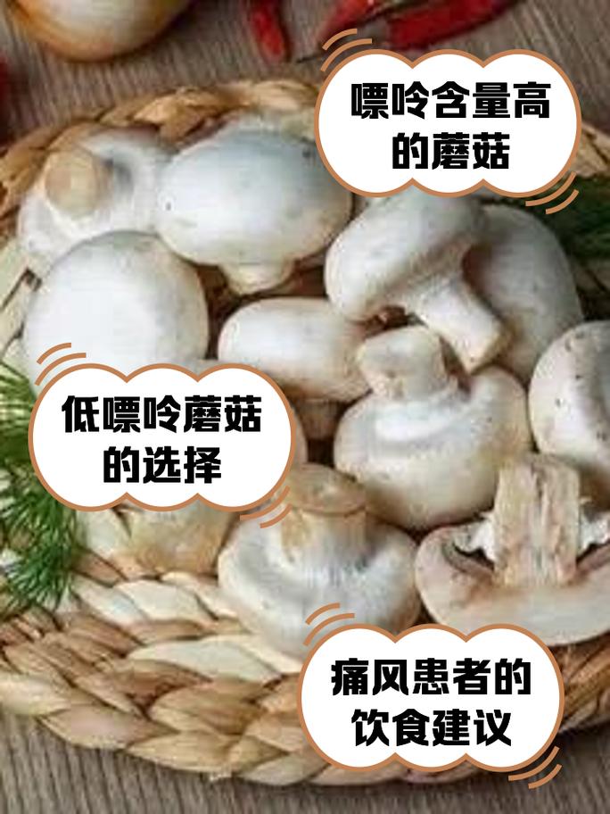 痛风可以吃野生菌子吗