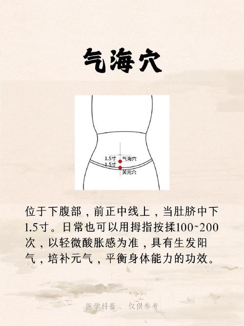 瘦肚子应该针灸哪里