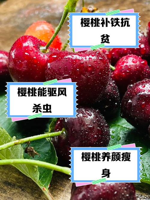 痛风吃樱桃有什么好处