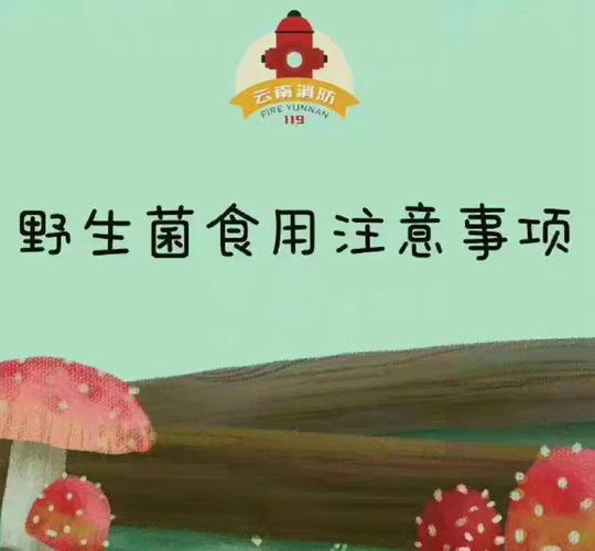 食用菌质量与安全问题