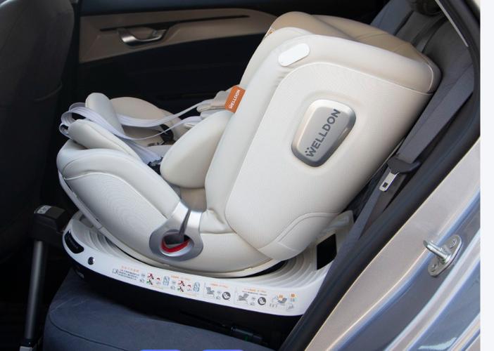 安全椅安装在哪个位置