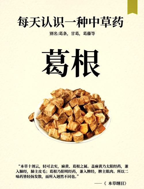 葛根对痛风有什么好处