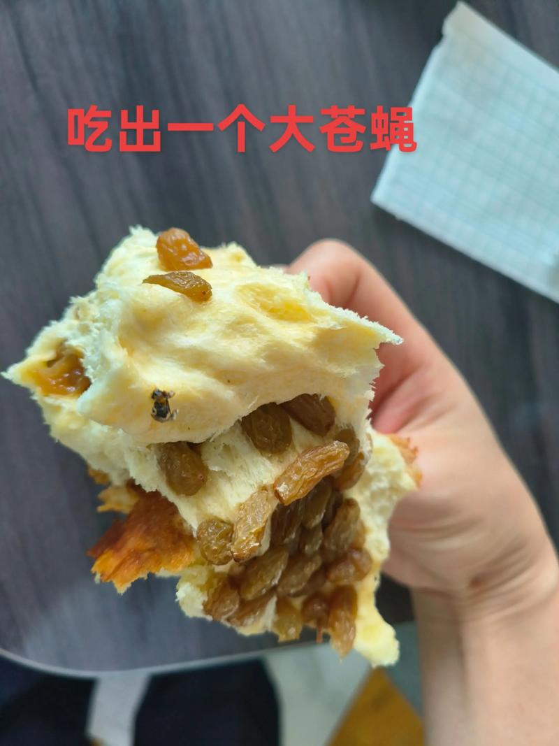 新食品安全法吃出苍蝇