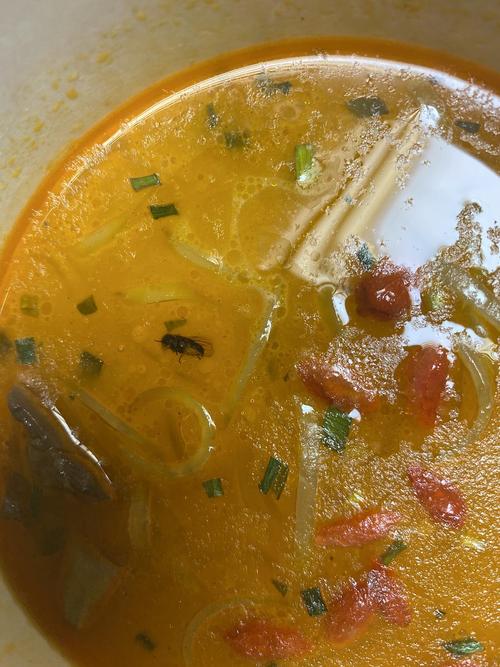 新食品安全法吃出苍蝇