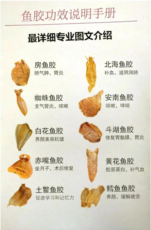 痛风的人可以吃鱼胶吗