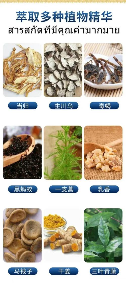 治疗痛风的藏药有哪些