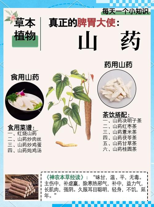 痛风患者可以吃山药吗