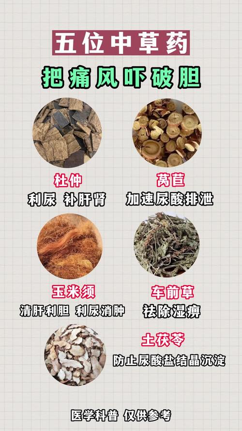 制痛风的中药配方大全