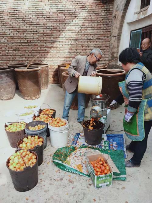 重庆桥南村的鸡安全吗