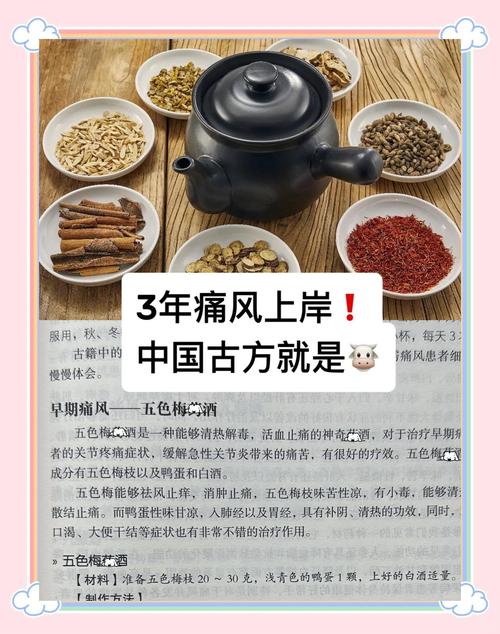 痛风治疗中药经典配方