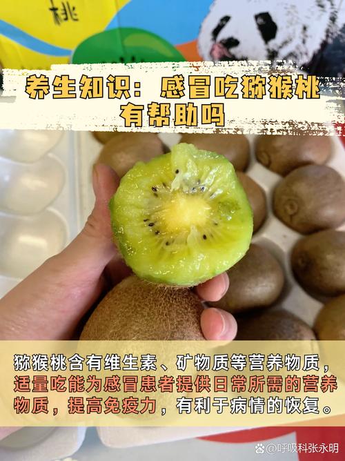 痛风患者能吃弥猴桃吗