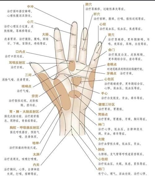 中医针灸手上的穴位