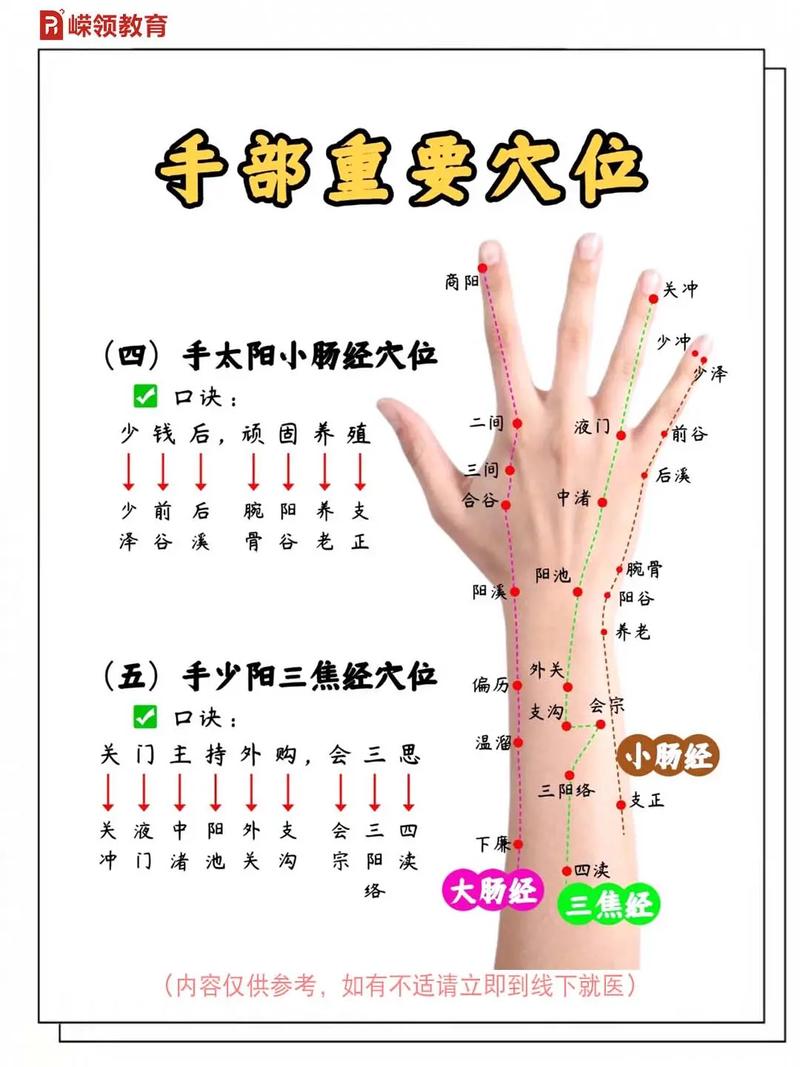 中医针灸手上的穴位