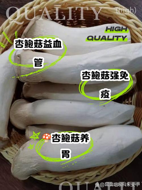 痛风患者能吃杏鲍菇吗