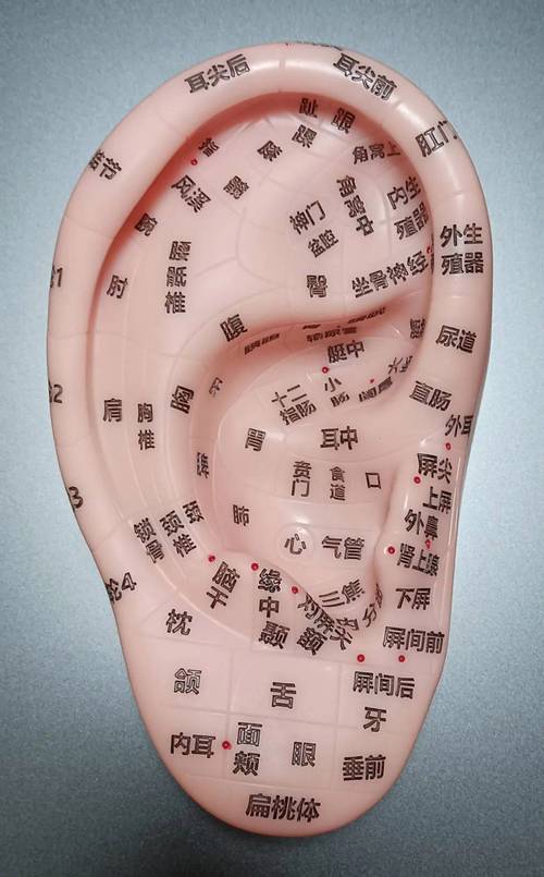 针灸耳朵有什么作用