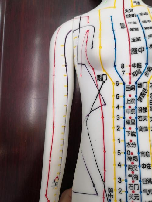 合肥哪里可以学针灸