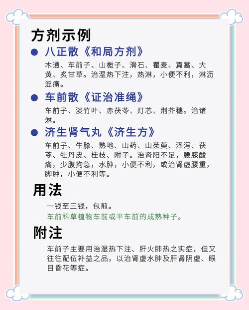 车前子泡脚能治痛风吗