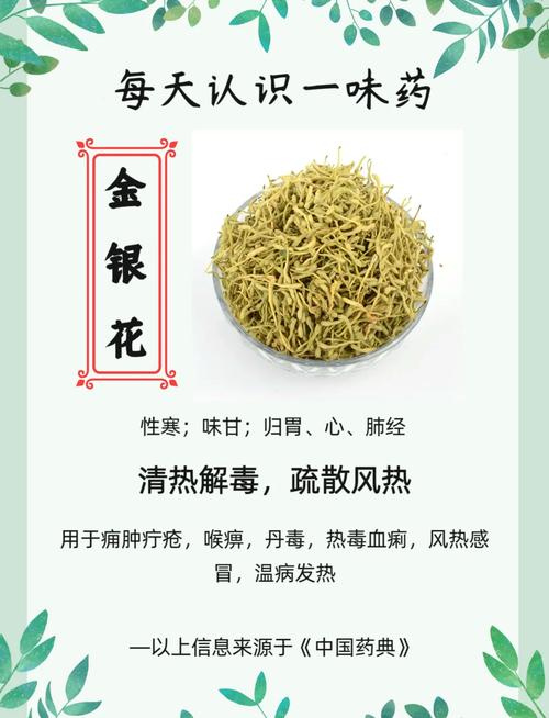 金银花对痛风有帮助吗