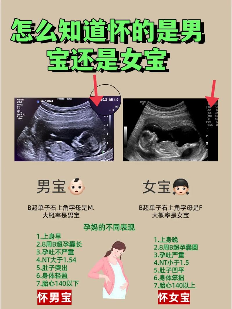 安全期怀孕能生男孩吗