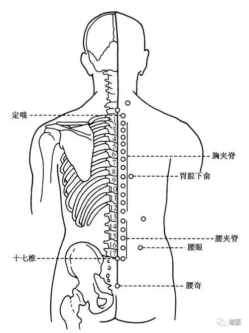 华佗夹脊可以针灸吗