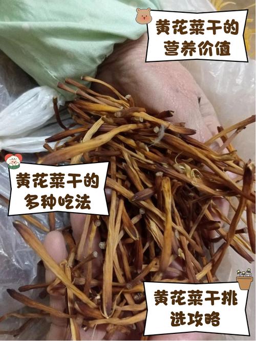 痛风可以吃黄花菜干吗