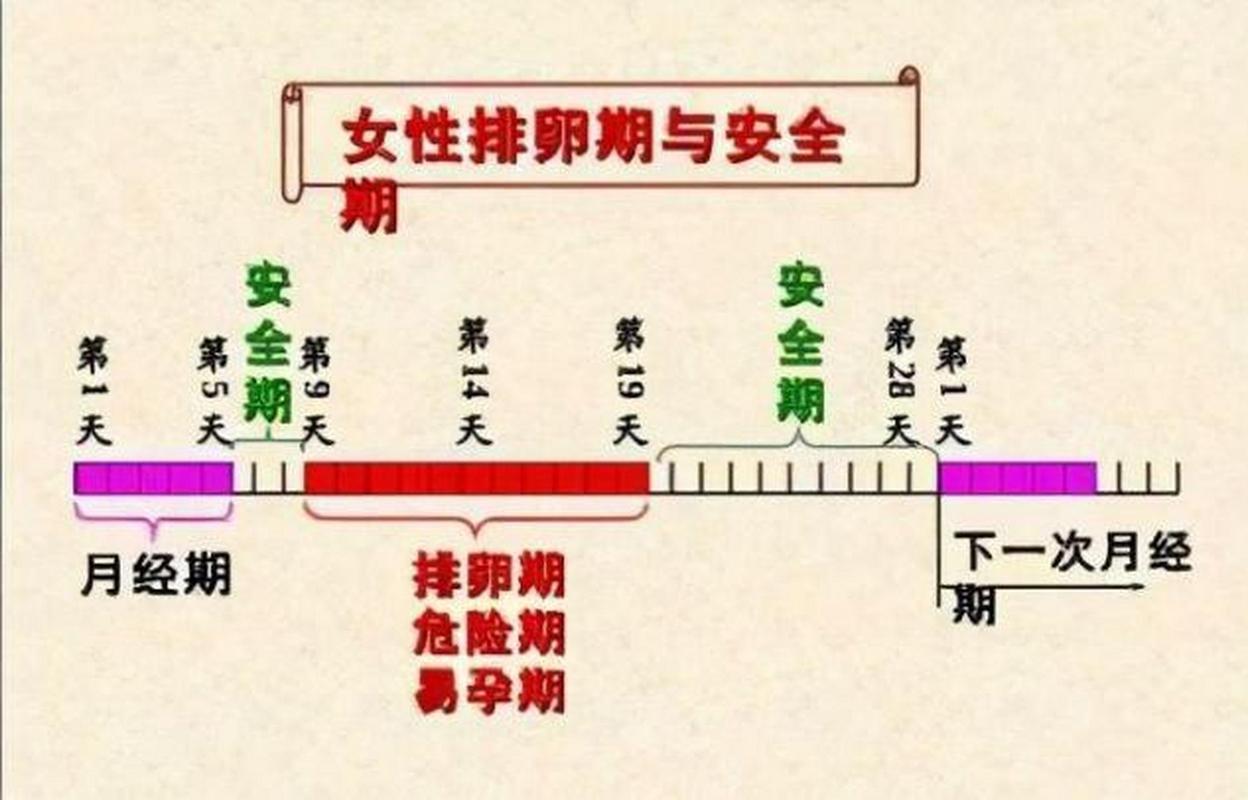 安全期有没有可能怀孕
