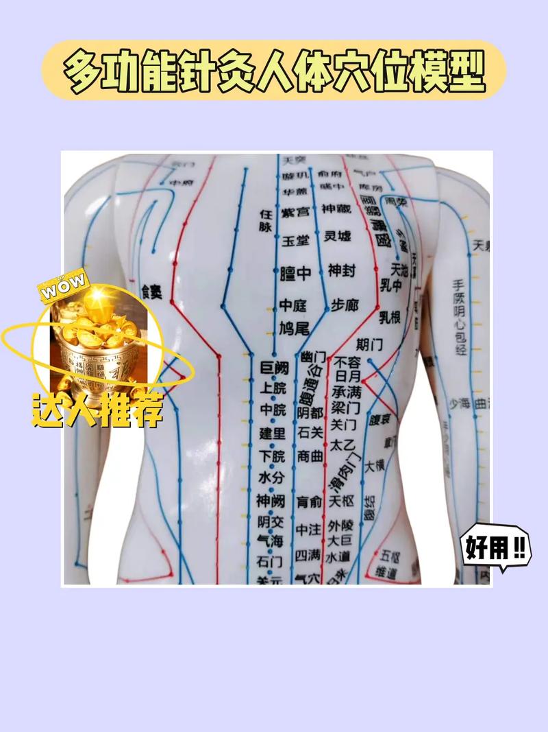 北京针灸丰胸哪里好