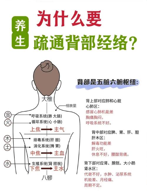 针灸背部有什么好处