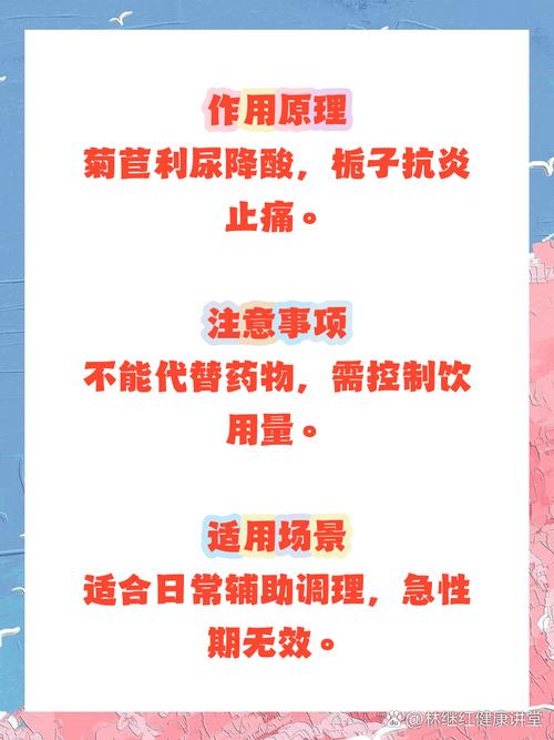 痛风的人喝菊苣管用吗