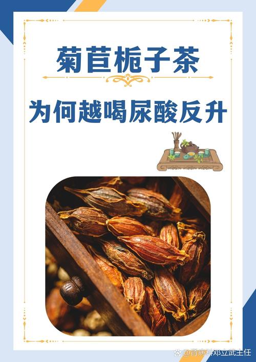 痛风的人喝菊苣管用吗