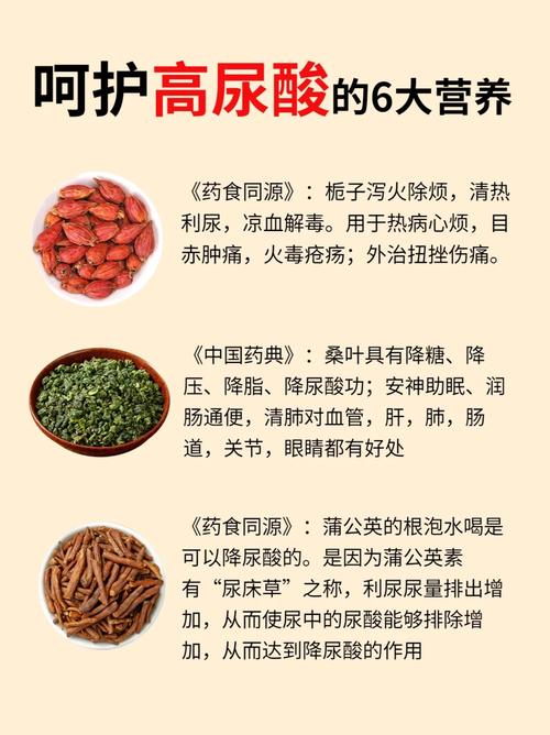 尿酸过高痛风怎么治疗