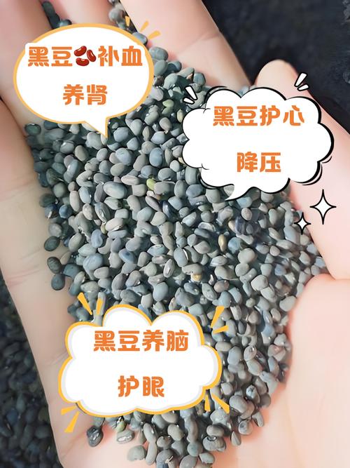痛风病人可以吃黑豆吗