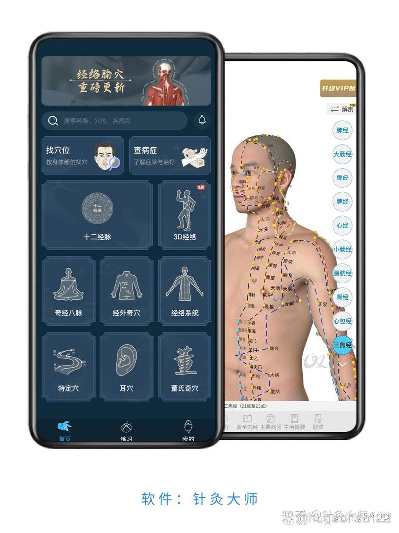 针灸软件哪个好用吗