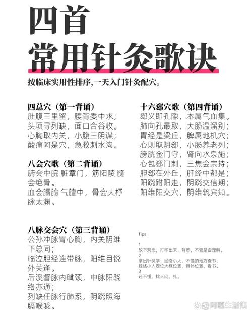 针灸歌诀pdf微盘