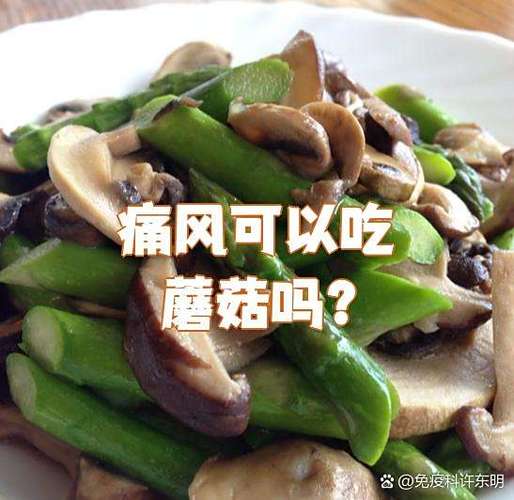 痛风可以吃香菇蘑菇吗