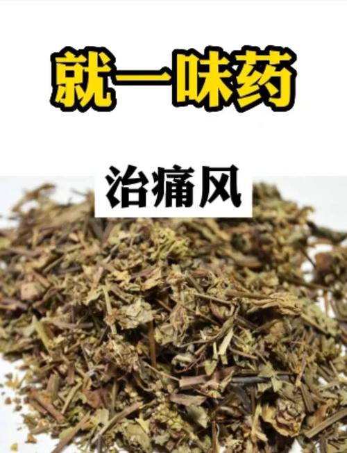 痛风吃什么中草药调理