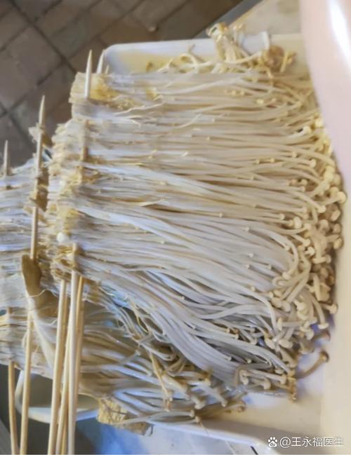 痛风病人能吃金针菇吗