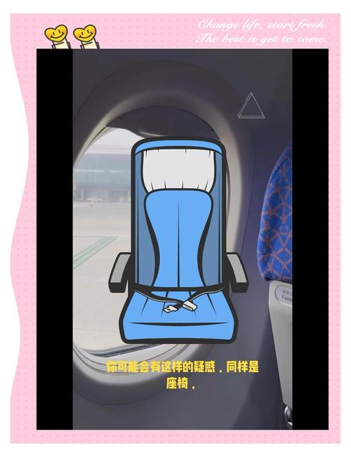 如何系飞机安全带图解