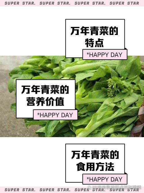 针灸减肥能吃青菜吗