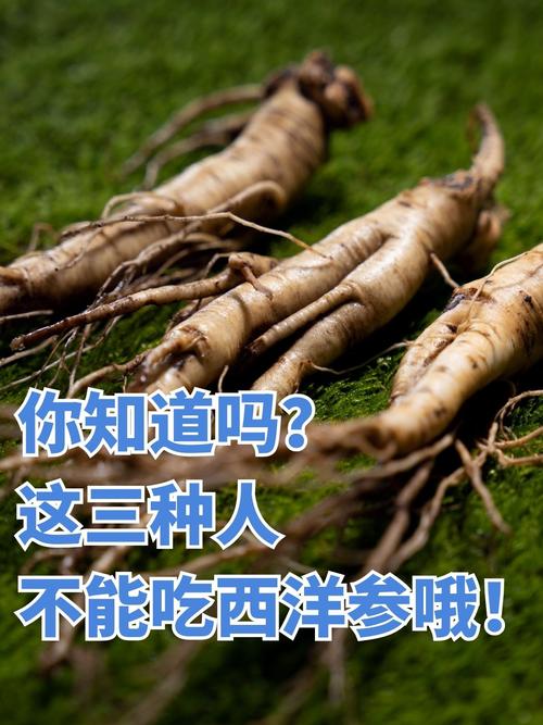 痛风病人能吃西洋参吗