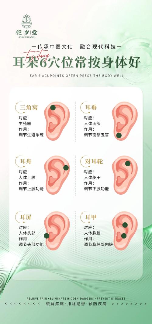 针灸耳朵有什么好处