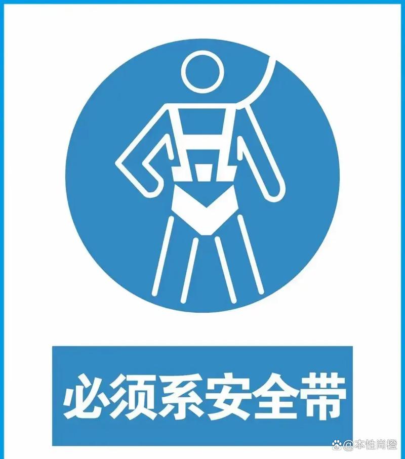 安全带标志笑话有刺客